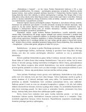 F. Dostojevskis "Nusikaltimas ir bausmė". Raskolnikovas - dvilypė asmenybė 2 puslapis