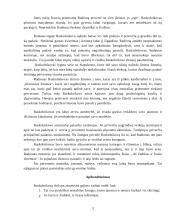 F. Dostojevskis "Nusikaltimas ir bausmė". Raskolnikovas - dvilypė asmenybė 3 puslapis