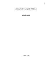 Lygiateisių mazgų tinklai