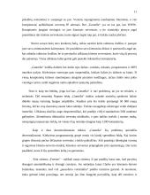 Lygiateisių mazgų tinklai 11 puslapis