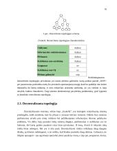 Lygiateisių mazgų tinklai 16 puslapis