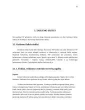 Lygiateisių mazgų tinklai 19 puslapis