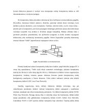 Lygiateisių mazgų tinklai 5 puslapis