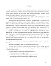 Lizingas: lizingo aplinka ir veiklos galimybės Lietuvoje 2 puslapis