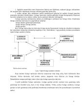 Lizingas: lizingo aplinka ir veiklos galimybės Lietuvoje 5 puslapis