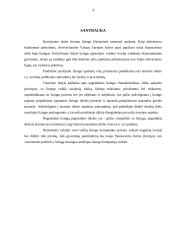 Lizingo (finansinės nuomos) apskaita 2 puslapis