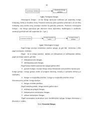 Lizingo (finansinės nuomos) apskaita 16 puslapis