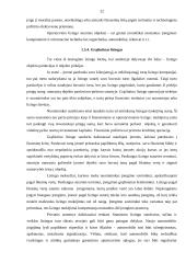 Lizingo (finansinės nuomos) apskaita 20 puslapis