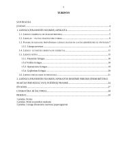 Lizingo (finansinės nuomos) apskaita 3 puslapis