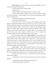 Lizingo (finansinės nuomos) apskaita 10 puslapis