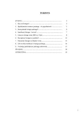 Lizingo paslaugos ir tendencijos Lietuvoje 2 puslapis