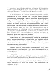 Lizingo paslaugos ir tendencijos Lietuvoje 15 puslapis