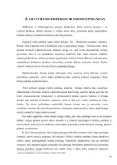 Lizingo paslaugos ir tendencijos Lietuvoje 17 puslapis