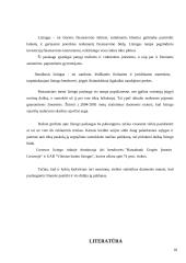 Lizingo paslaugos ir tendencijos Lietuvoje 19 puslapis