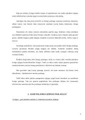 Lizingo paslaugos ir tendencijos Lietuvoje 7 puslapis