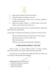 Lizingo paslaugos ir tendencijos Lietuvoje 8 puslapis