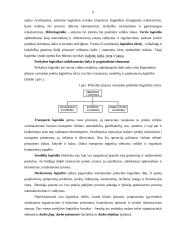 Logistikos valdymas: UAB "Senukų prekybos centras" 9 puslapis