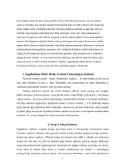 Idealus vadovas