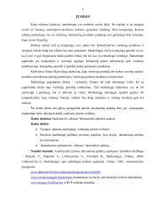 Marketingo aplinka: parduotuvė "Mosaic" 2 puslapis