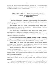 Marketingo aplinka: parduotuvė "Mosaic" 11 puslapis