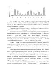 Marketingo aplinka: parduotuvė "Mosaic" 15 puslapis