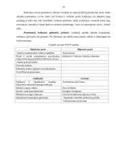 Marketingo aplinka: parduotuvė "Mosaic" 18 puslapis