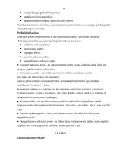 Marketingo aplinkos tyrimas: UAB "Baltpark" 14 puslapis