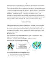 Marketingo aplinkos tyrimas: UAB "Baltpark" 17 puslapis