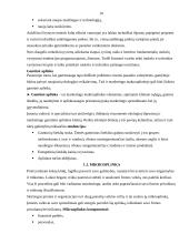 Marketingo aplinkos tyrimas: UAB "Baltpark" 10 puslapis