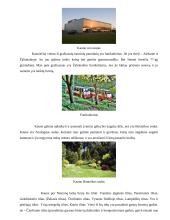 Rašinys apie Kauną 5 puslapis