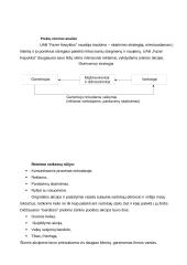 UAB "Fazer kepykla" marketingo komplekso analizė 11 puslapis