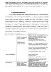 UAB "Fazer kepykla" marketingo komplekso analizė 14 puslapis