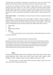 UAB "Fazer kepykla" marketingo komplekso analizė 17 puslapis