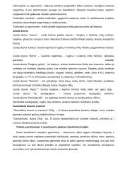 UAB "Fazer kepykla" marketingo komplekso analizė 6 puslapis