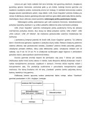 UAB "Fazer kepykla" marketingo komplekso analizė 10 puslapis