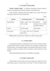 Marketingo planas: kavinė "Coliukė" 18 puslapis