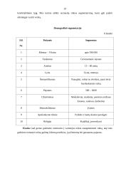 Marketingo planas: kavinė "Coliukė" 19 puslapis