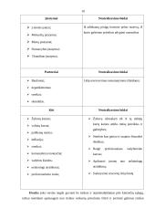 Marketingo planas: kavinė "Coliukė" 10 puslapis