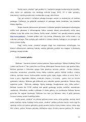 Marketingo planas: svečių namai "Audenis" 11 puslapis