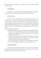 Marketingo planas: svečių namai "Audenis" 12 puslapis