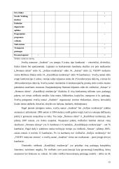 Marketingo planas: svečių namai "Audenis" 14 puslapis