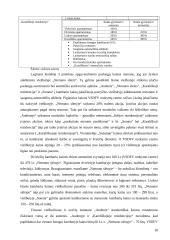 Marketingo planas: svečių namai "Audenis" 17 puslapis