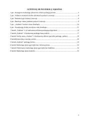 Marketingo planas: svečių namai "Audenis" 2 puslapis