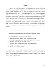 Marketingo planas: svečių namai "Audenis" 3 puslapis