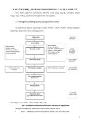 Marketingo planas: svečių namai "Audenis" 4 puslapis