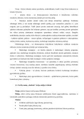 Marketingo planas: svečių namai "Audenis" 5 puslapis