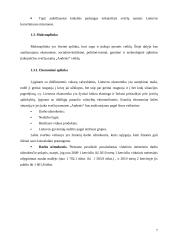 Marketingo planas: svečių namai "Audenis" 6 puslapis