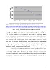 Marketingo planas: svečių namai "Audenis" 7 puslapis
