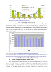 Marketingo planas: svečių namai "Audenis" 8 puslapis