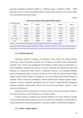 Marketingo planas: svečių namai "Audenis" 9 puslapis